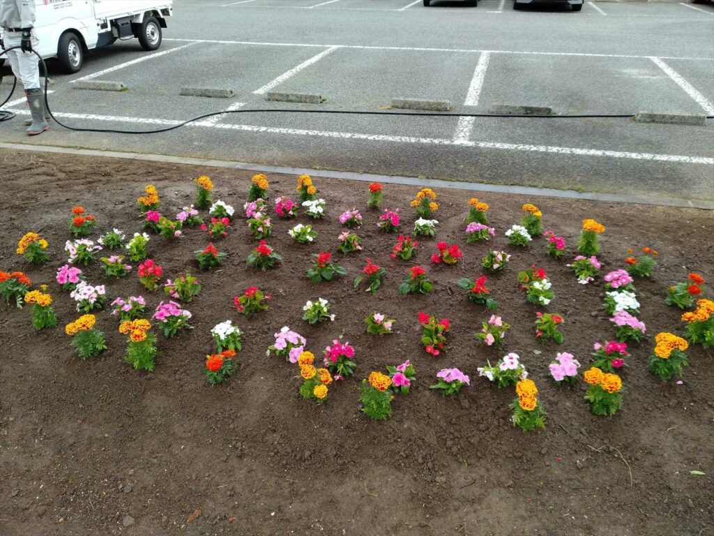 花壇６