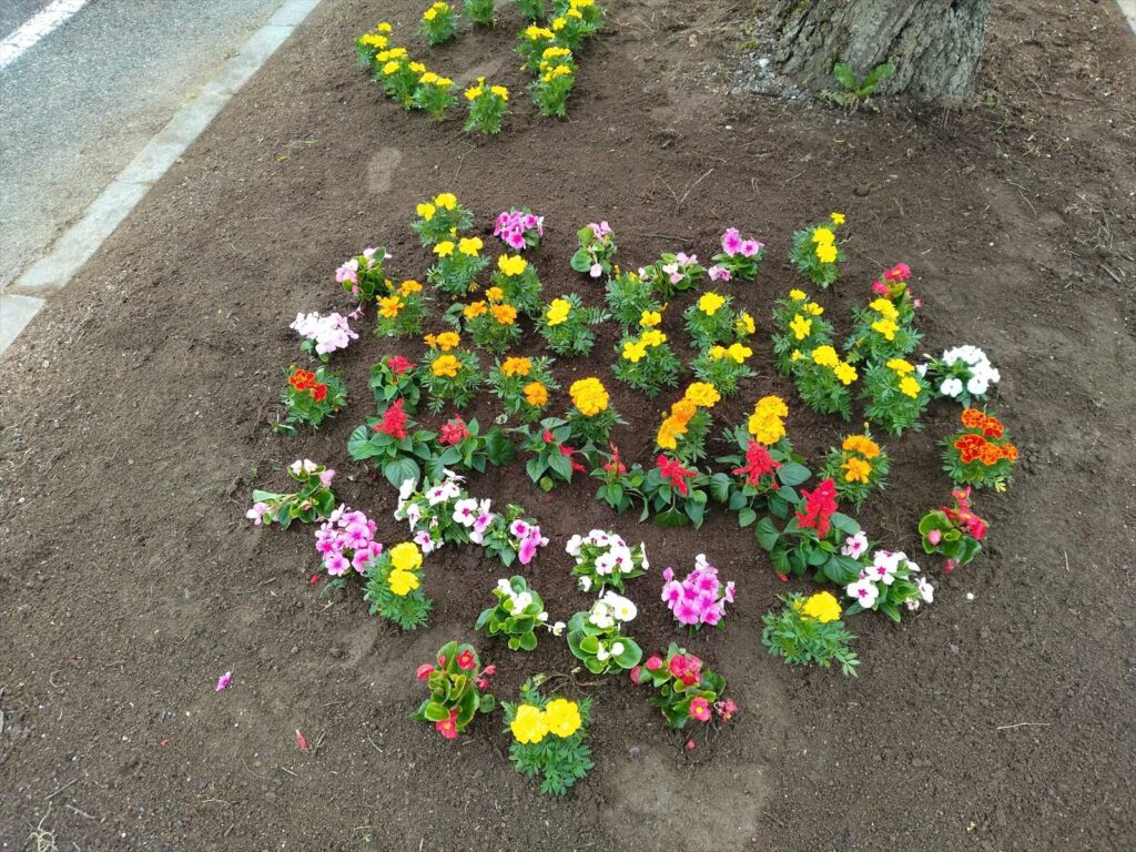 花壇５